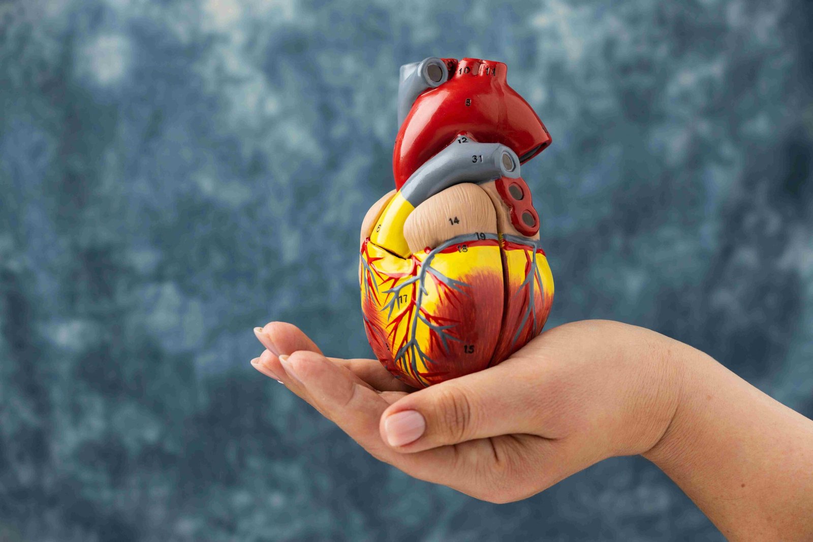 Exercise To Keep Your Heart Healthy & Learn Important tips